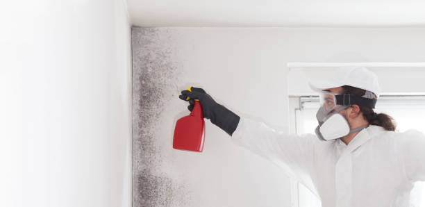 Crawl Space Mold Removal in Bells, TX